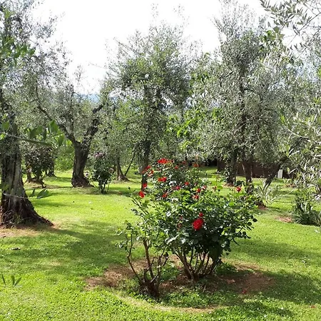 Indipendente Di 70 Mq Con Piscina Ad Uso Esclusivo , Aria Condizionata , 2 Bagni , Living ,ampia Cucina , Lavanderia , Terrazza ,giardini , Parcheggio Privato Immerso Nelle Colline Toscane Facente Parte Di Dimora Storica Toscana Di Fine Apartment