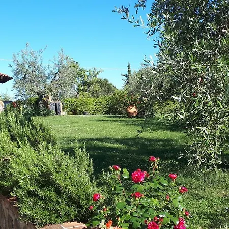 Indipendente Di 70 Mq Con Piscina Ad Uso Esclusivo , Aria Condizionata , 2 Bagni , Living ,ampia Cucina , Lavanderia , Terrazza ,giardini , Parcheggio Privato Immerso Nelle Colline Toscane Facente Parte Di Dimora Storica Toscana Di Fine * Cavriglia