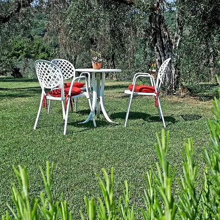 Indipendente Di 70 Mq Con Piscina Ad Uso Esclusivo , Aria Condizionata , 2 Bagni , Living ,ampia Cucina , Lavanderia , Terrazza ,giardini , Parcheggio Privato Immerso Nelle Colline Toscane Facente Parte Di Dimora Storica Toscana Di Fine * Cavriglia
