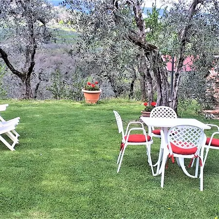 Apartment Indipendente Di 70 Mq Con Piscina Ad Uso Esclusivo , Aria Condizionata , 2 Bagni , Living ,ampia Cucina , Lavanderia , Terrazza ,giardini , Parcheggio Privato Immerso Nelle Colline Toscane Facente Parte Di Dimora Storica Toscana Di Fine *