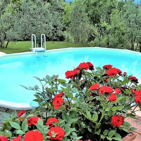 Indipendente Di 70 Mq Con Piscina Ad Uso Esclusivo , Aria Condizionata , 2 Bagni , Living ,ampia Cucina , Lavanderia , Terrazza ,giardini , Parcheggio Privato Immerso Nelle Colline Toscane Facente Parte Di Dimora Storica Toscana Di Fine *